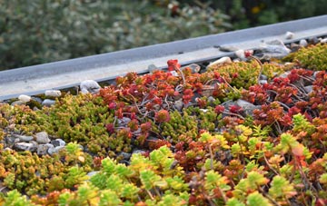 the cost of Coleraine green roof installation