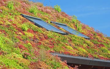Coleraine living roof systems