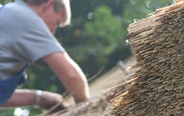 professional Coleraine thatchers